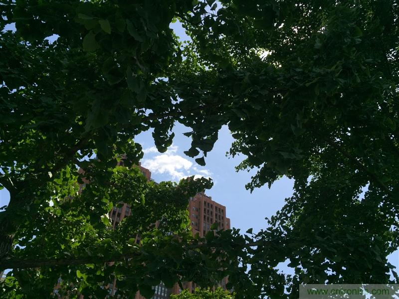 無邊框的 nubia Z9 ，一款既有驚喜，又有驚艷的智能手機