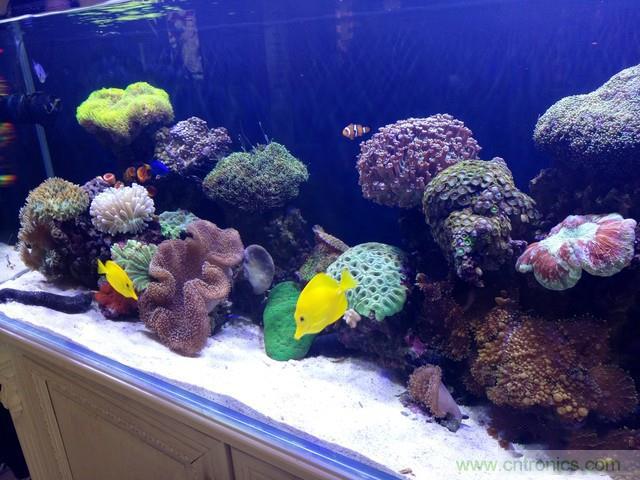 Hi-Fi革命！vivo X6 Plus深度評(píng)測(cè)：夠快才暢快