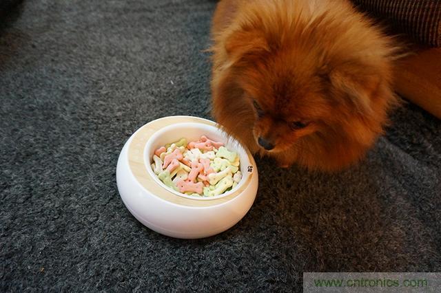 科學(xué)喂養(yǎng)從狗娃做起&mdash;&mdash;逗愛乖乖碗測試