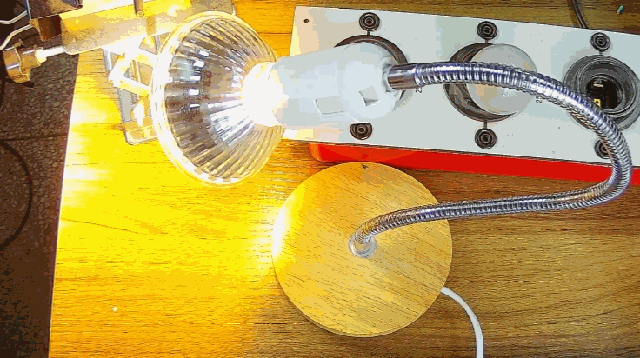 電燈泡內(nèi)通有交流電，為什么看不到燈泡在閃爍？