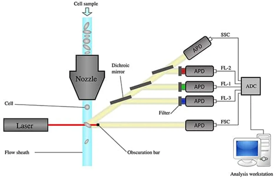 解決了！這個模塊解決了流式細胞儀設(shè)計的多個痛點！